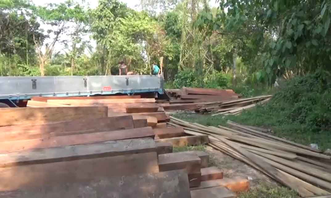 ပဲခူးတိုင်း၌ ၈ လအတွင်း တရားမဝင်သစ်  ၅၄၇၂ တန်ဖမ်းဆီးရမိ၊ ပိုင်ရှင်မဲ့အမှုများနေ 
