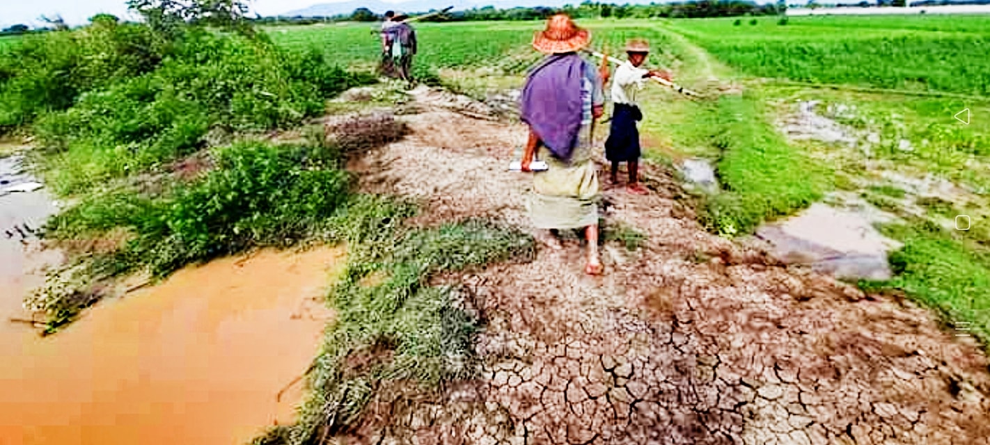 ဝမ်းတွင်းမြို့နယ်၌ အုတ်ဖိုကန်ပျက်စီးပြီးထွက်လာသည့်ရေကြောင့် သီးနှံ ဧက ၅၀ ပျက်စီး 