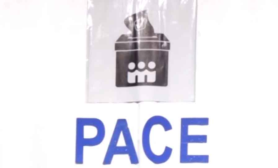 PACE အဖွဲ့ကို ၂၀၂၀ ရွေးကောက်ပွဲစောင့်ကြည့်ခွင့် ပိတ်ပင်