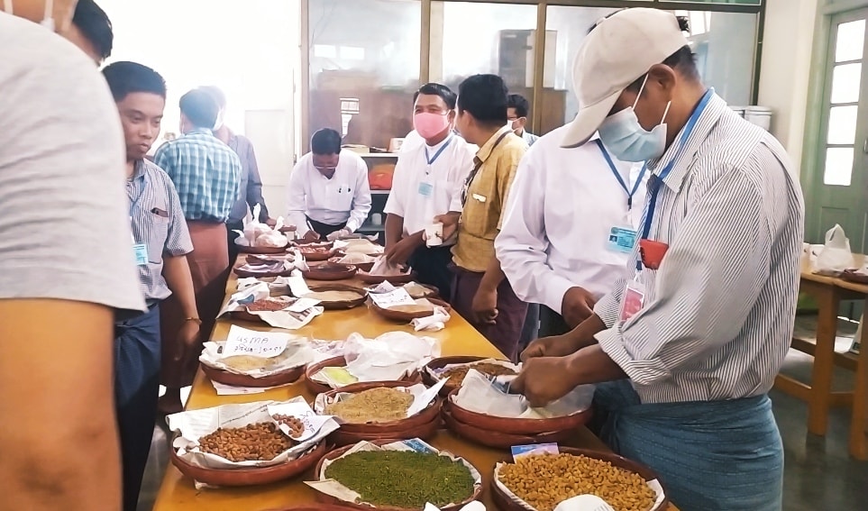 မကွေးမြို့တွင် လယ်ယာထွက်ကုန်သီးနှံ ကုန်စည်ဒိုင် စတင်ဖွင့်လှစ်