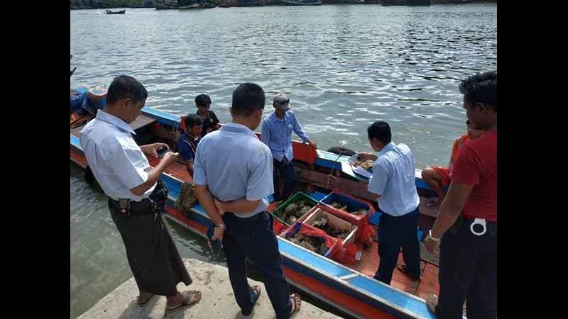 ထိုင်းဘက် တရားမဝင်ပို့မည့် ရေထွက်ကုန်များ ကော့သောင်းတွင် ပိုင်ရှင်မဲ့ဖမ်းမိ