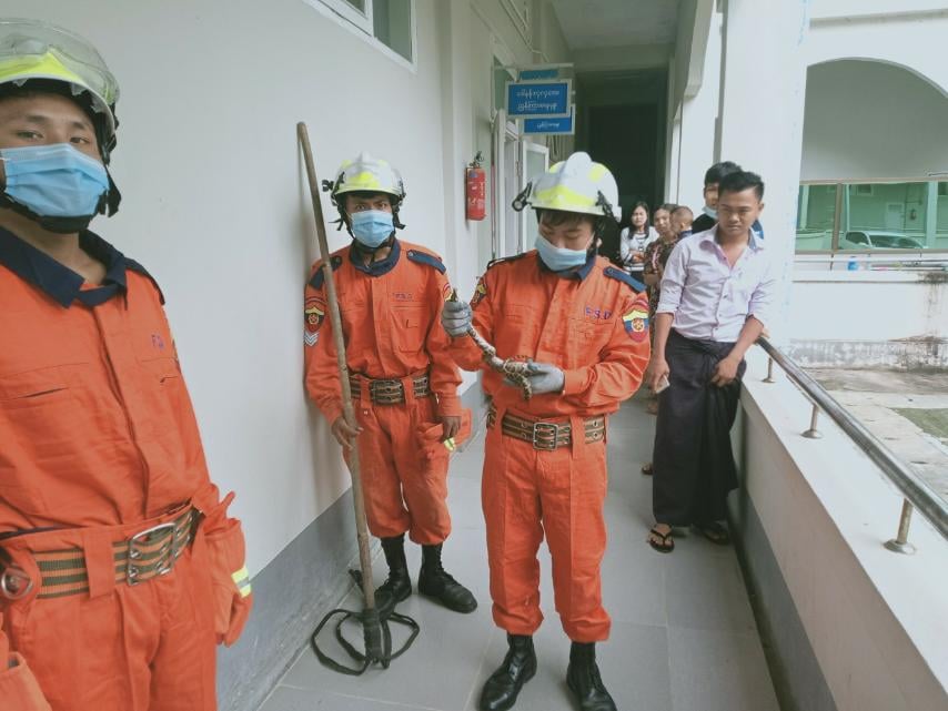 ပြည်ထောင်စုရှေ့နေချုပ်ရုံး၊ ကွန်ပြူတာအခန်းထဲ မြွေဝင်နေ (ဓာတ်ပုံ)