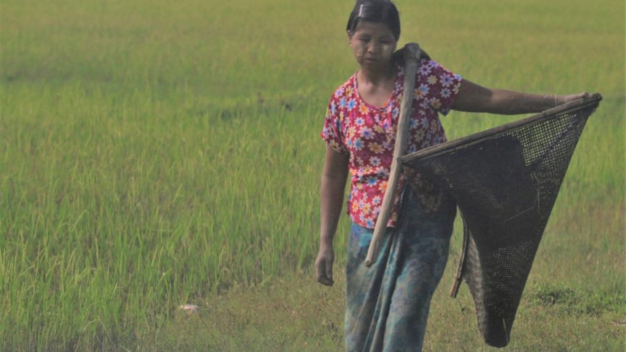 စစ်ဘေးရှောင်များကို အိမ်ပြန်ပို့ပေးမည့် အမတ်များအလိုရှိသည်
