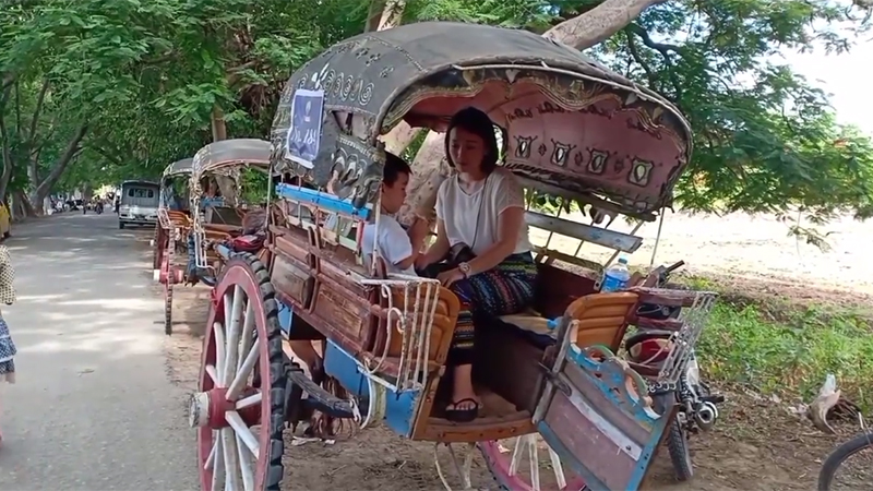 ကိုဗစ်ကာလ အင်းဝမြို့ဟောင်းက မြင်းလှည်းများ ဧည့်သည်မရှိ၍ အခက်အခဲဖြစ်နေ