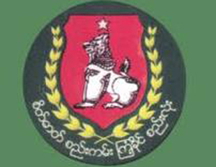 ၾကံ့ခိုင္ေရးပါတီ အင္အား ၃ သန္း႐ွိဟုဆုိ