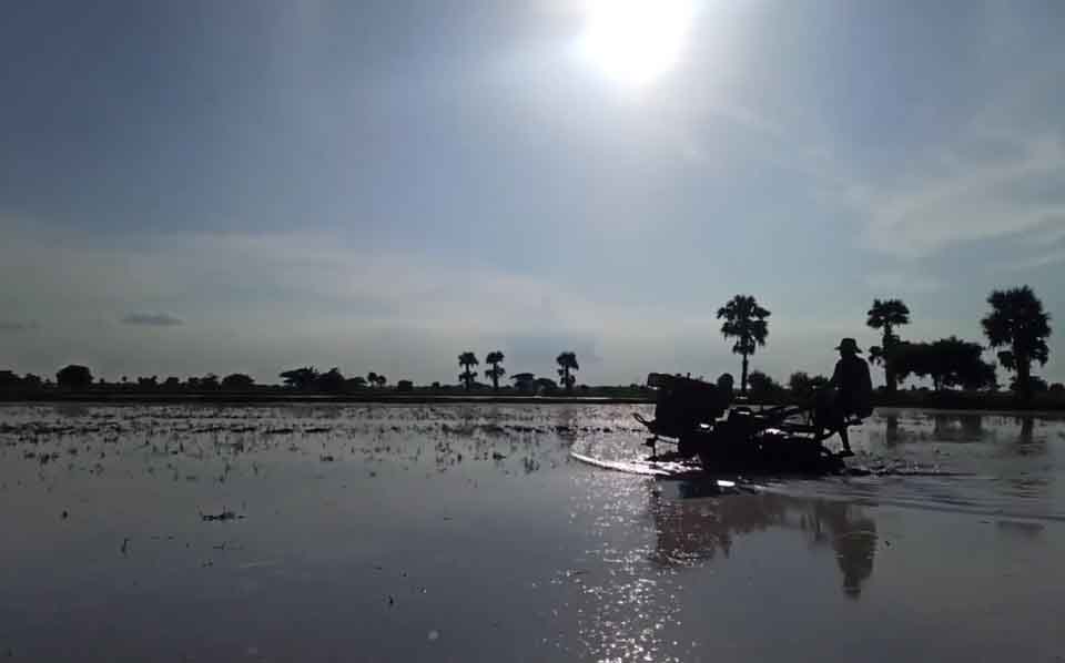 အရည်အသွေးစစ်မှန်သည့် ဓာတ်မြေဩဇာနှင့် ပိုးသတ်ဆေး လယ်သမားများ လိုအပ်နေ