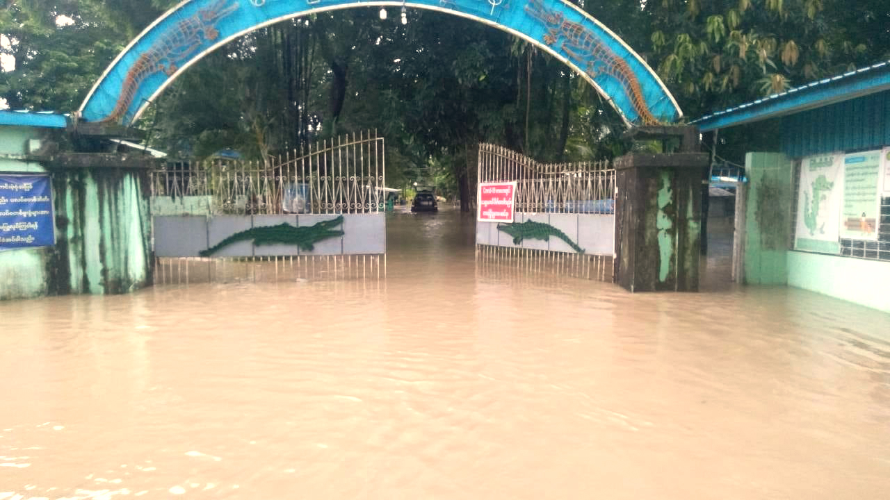 သာကေတ မိကျောင်းမွေးမြူရေးစခန်းတွင် ထူးကဲဒီရေတက်ပြီး ရေလျှံ