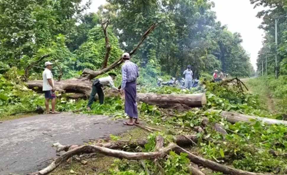 ရွှေကူတွင် သစ်ခိုးခုတ်မှုကြောင့် လိုင်းကြိုးများပျက်စီးပြီး နေအိမ် ၅၀၀ ခန့် လျှပ်စစ်မီးပြတ်