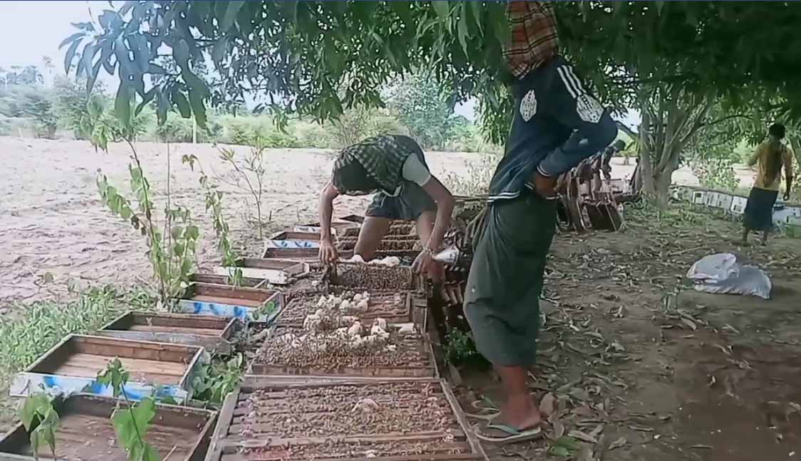 ကနီမြို့နယ်က ရွေ့ပြောင်းလုပ်သားများ နေရပ်ပြန် ဆန္ဒမဲပေးရန်အခက်အခဲရှိနေ 