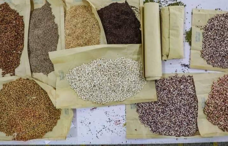 မတ်ပဲ၊ ပဲစင်းငုံ၊ ကုလားပဲ ဈေးနှုန်းများ ၃ နှစ်အတွင်း စံချိန်တင်မြင့်တက်