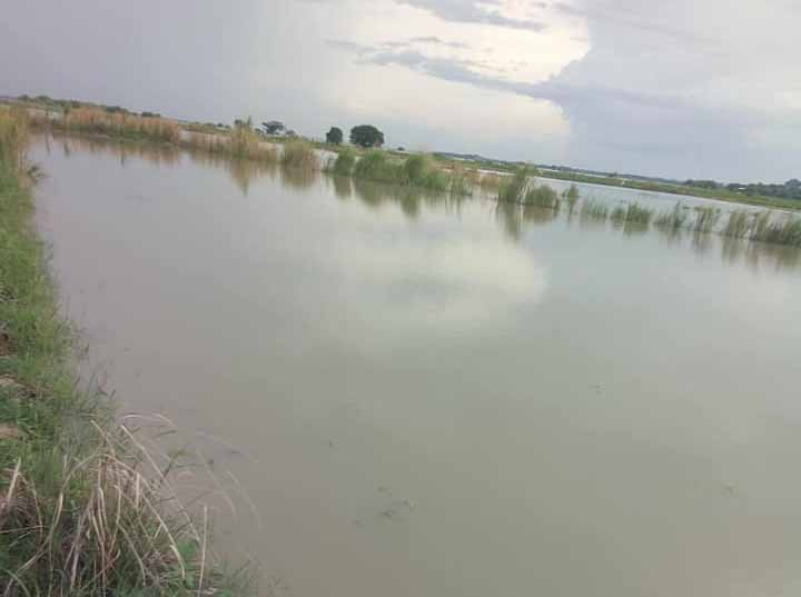 မြစ်ရေတက်မှုကြောင့် ရေစကြိုမြို့နယ်တွင် သီးနှံစိုက်ဧက ၄၉၀၀ ခန့် ပျက်စီးဆုံးရှုံး
