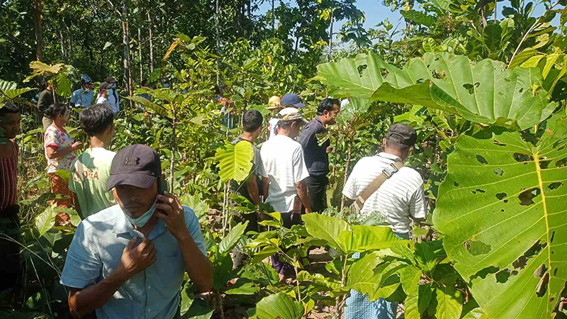 မင်းလှတွင် အမည်မသိအမျိုးသမီး ၁ ဦး ထိုးသွင်းဒဏ်ရာများဖြင့် သေဆုံးနေ