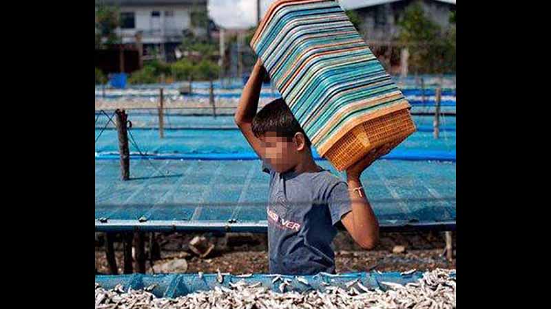 အသက် ၁၄ နှစ်အောက်ကလေးငယ်များကို အလုပ်ခိုင်းစေပါက အရေးယူခံရမည်ဟု သတိပေး  