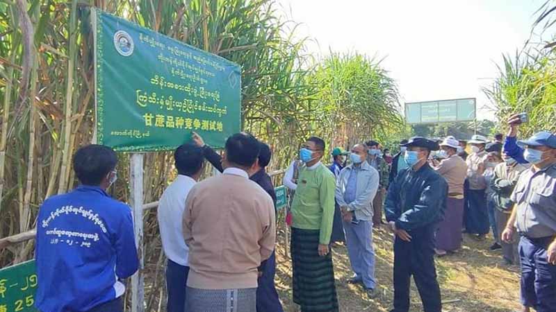 ကိုးကန့်ကကြံများ တရုတ်နိုင်ငံကို မေလကုန်နောက်ဆုံးထား တင်ပို့ရေး ဆွေးနွေး