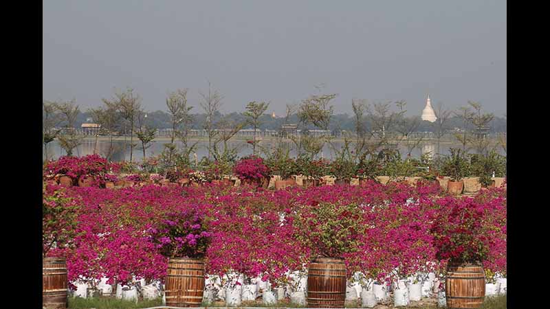 တောင်သမန်အင်းအနီး စက္ကူပန်းဥယျာဉ် ဖွင့်လှစ်မည် (ဓာတ်ပုံ) 
