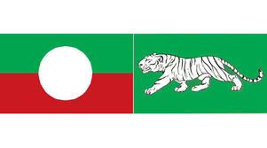 အေျခခံ ဥပေဒ ျပင္ဆင္ေရး က်ားျဖူပါတီအမတ္မ်ား ေဆြးေနြး