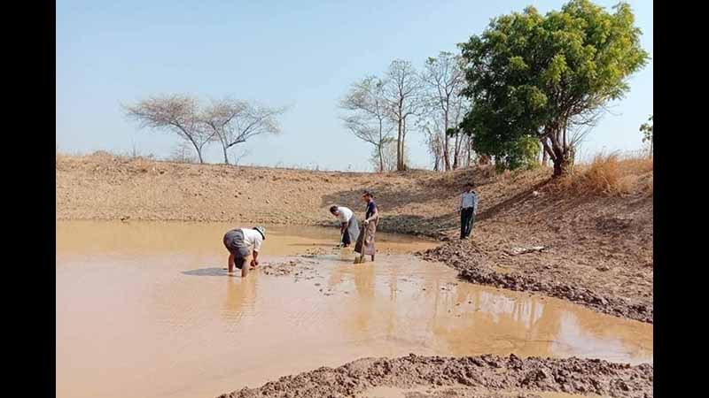 မန်းရွှေစက်တော်ကန်တော်ကြီးကန်ကို တောရိုင်းတိရစ္ဆာန်များ သောက်သုံးနိုင်ရန် ရေဖြည့်ပေးမည်