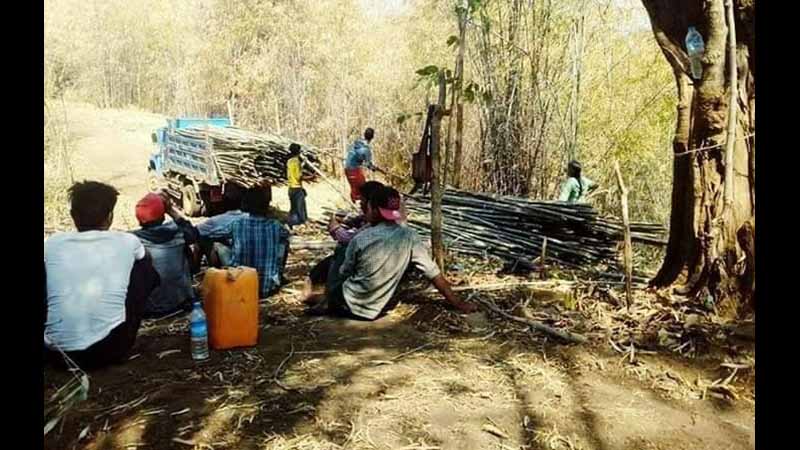 မကွေးတိုင်းတွင် စီးပွားဖြစ် ဝါးအလုံးရေ ၁၄ သန်းခွဲကျော် ထုတ်လုပ်ခွင့်ပြုမည်