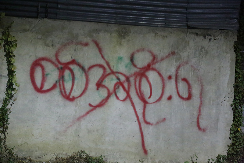 စစ်အစိုးရ ဆန့်ကျင်ကြောင်း Spray Campaign (ဓာတ်ပုံ)