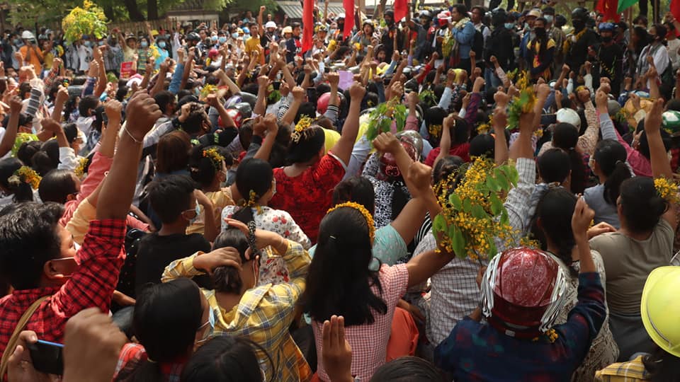 မုံရွာတွင် ပစ်ခတ်မှုများအကြား မြန်မာ့နွေဦးသင်္ကေတ ပိတောက်ပန်းများဖြင့် ဆန္ဒပြ