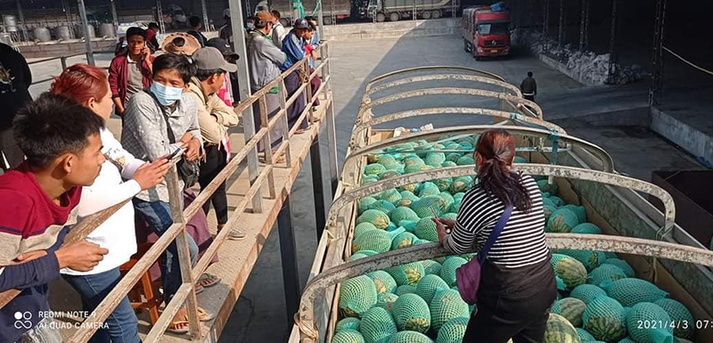 တရုတ်ကုန်သည်များက မြန်မာဖရဲသီးများကို စျေးနှိမ်ဝယ်