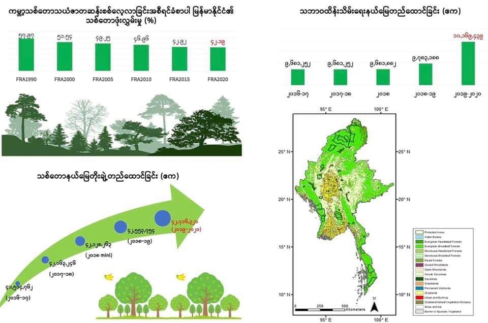 သစ်တောသယံဇာတများ လေလံတင်ရောင်းချ ဝင်ငွေရှာရန် အကြမ်းဖက်စစ်ကောင်စီက စီစဉ်နေ