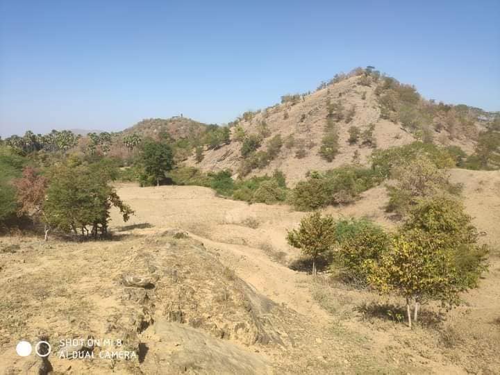 စကြာတောင်ပေါ်နေသူများ ဖမ်းဆီးခံရ