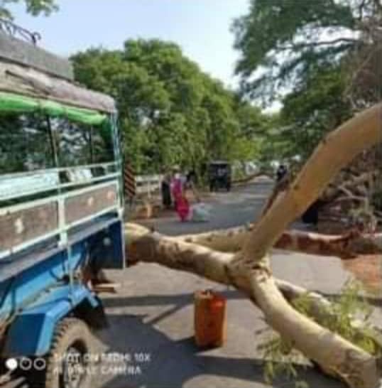 မြောင်မြို့နယ်၌ စစ်တပ်အင်အားထပ်ဖြည့်၊ ကျေးရွာများတွင် သစ်ပင်ခုတ်လမ်းပိတ်ဆို့မှုများရှိနေ