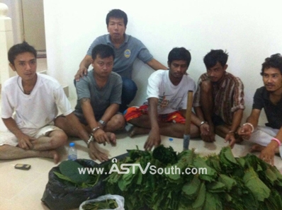 ထိုင္းေတာင္ပိုင္း ဖူးခက္တြင္ မူးယစ္ေဆး၀ါးမႈျဖင့္  ျမန္မာအလုပ္သမား ၅ ဦးကို ဖမ္းဆီး