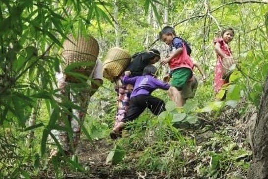ကယားပြည်နယ်က စစ်ဘေးရှောင်ပြည်သူများ နားခိုစရာ အမိုးအကာ မလုံမလောက်ဖြစ်နေ