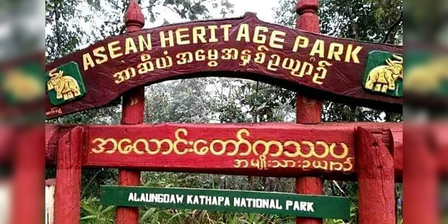 အလောင်းတော်ကဿပ အမျိုးသားဥယျာဉ်တွင် စစ်ကောင်စီနှင့်အပေါင်းပါများ သစ်ခိုးထုတ်နေ