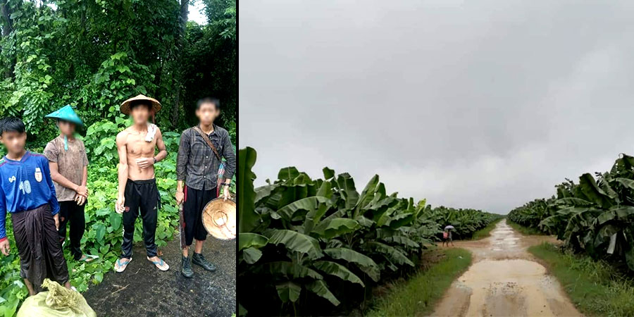 ကချင်စစ်ဘေးရှောင်ကျေးရွာများတွင် အုပ်စုဖွဲ့ခိုးယူမှုများရှိလာ