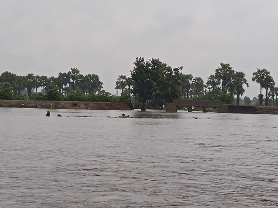 ကန့်ဘလူမြို့နယ်၊ ဘူကုန်းရွာတွင် မိုးရွာသွန်းမှုကြောင့် လယ်ဧက ၂၀၀ ကျော် ရေလွှမ်း