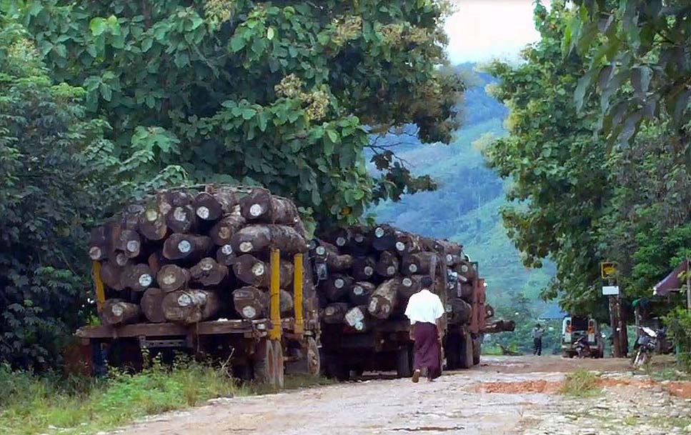 ကရင္ျပည္နယ္တြင္ သစ္ေတာမ်ား မ႐ွိေတာ့ဟုဆုိ