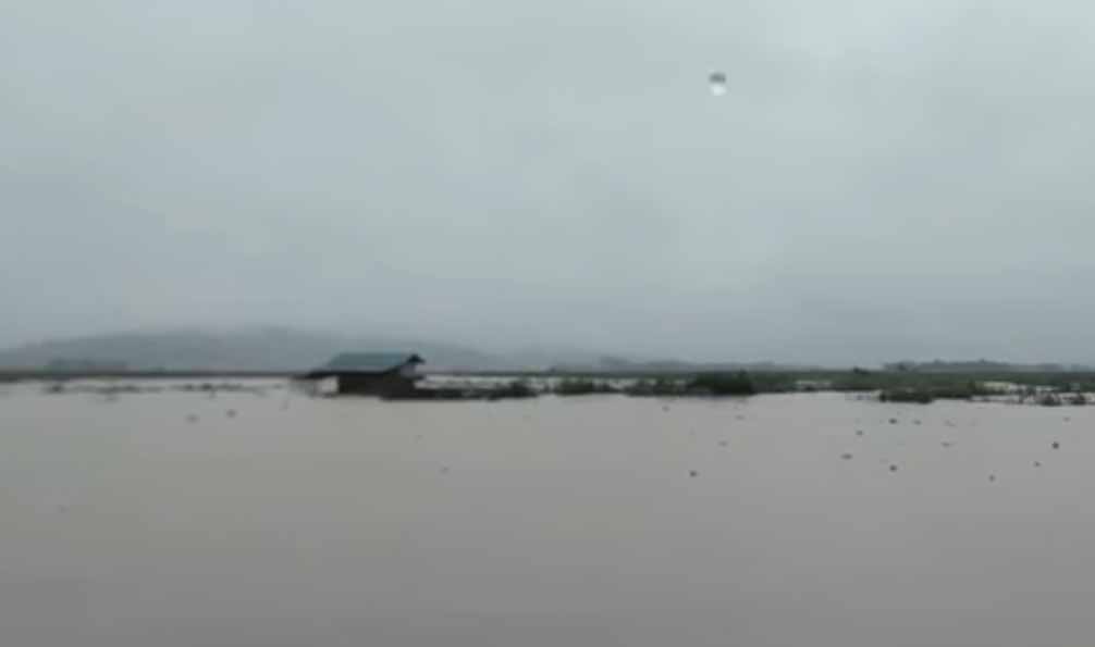 ရွှေလီမြစ်ရေကြီးပြီး နမ့်ခမ်းမြို့နယ်ရှိစိုက်ခင်းများ ရေလွှမ်းနေ