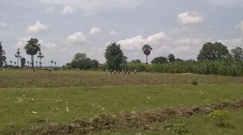 ဒီပဲယင်းဒေသကို အကြမ်းဖက်စစ်တပ်က ၀င်မွှေနေသဖြင့်  တောင်သူများ စိုက်ပျိုးရေးကောင်းစွာ မလုပ်နိုင်