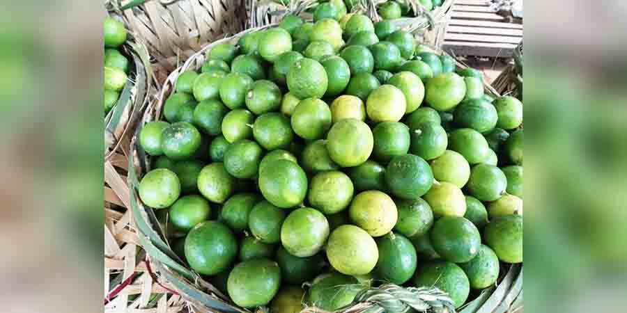 ရေးဒေသထွက် သံပရာသီးဈေးနှုန်း ယမန်နှစ်ထက် ထက်ဝက်နီးပါး ကျဆင်း