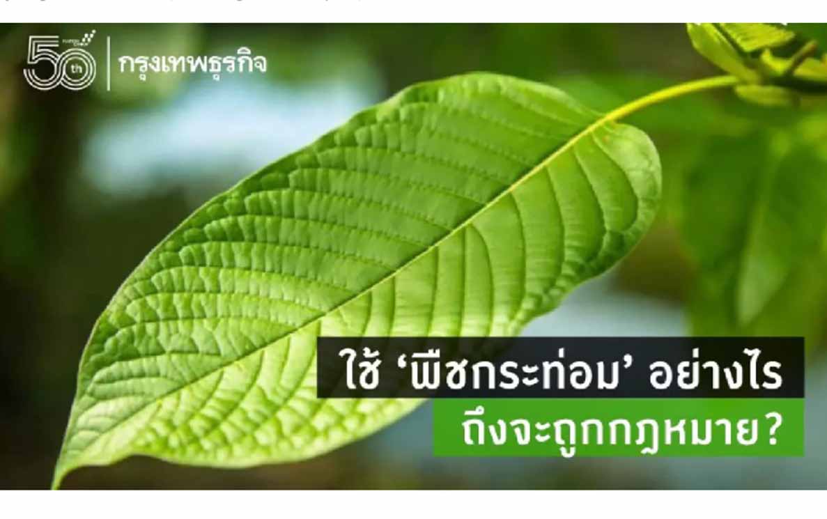 ထိုင်းနိုင်ငံတွင် ဘိန်းစာရွက်ကို သရေစာအဖြစ်ရောင်းချ