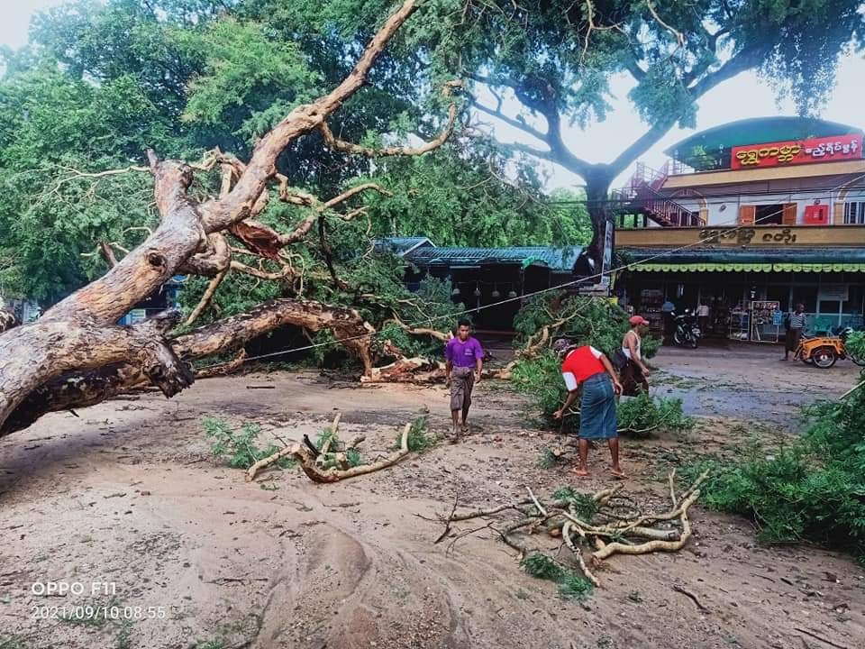 ညောင်ဦးမြို့နယ်တွင် သစ်ပင်များလဲကျပြီး  မီးသတ်ချောင်းရေကျော်