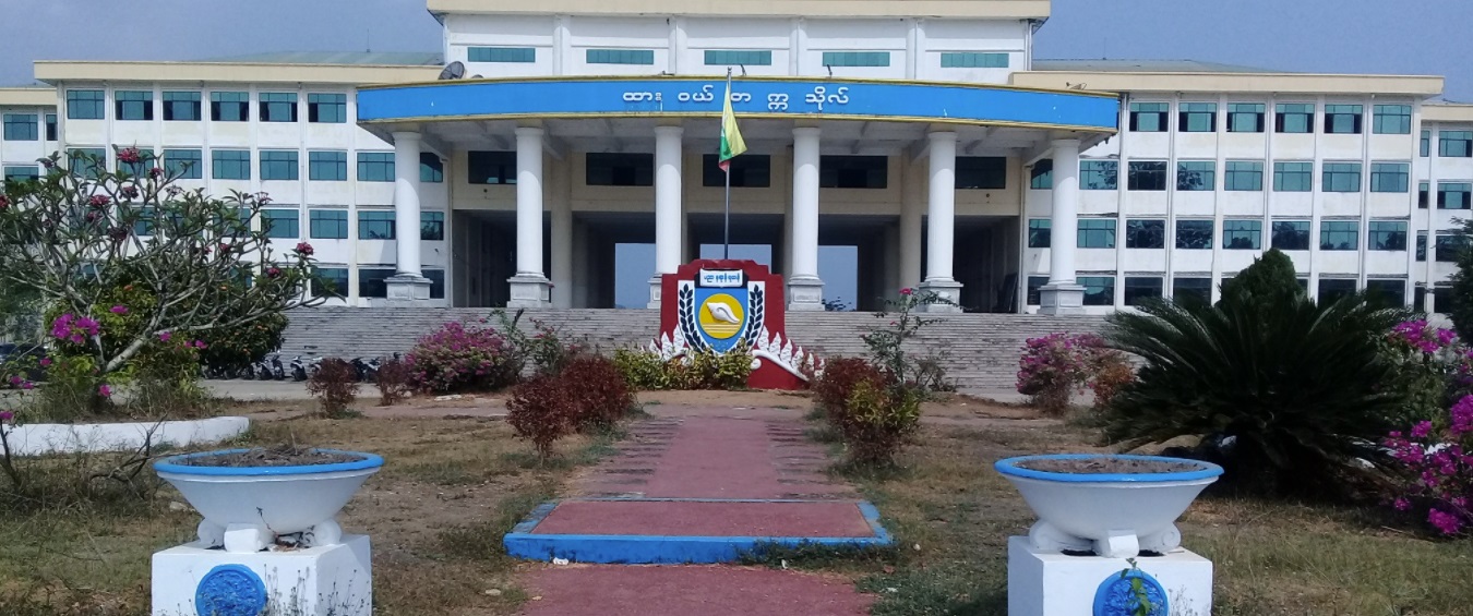 ထားဝယ်တက္ကသိုလ်ကျောင်းသူဟောင်း မစိုးမီမီကျော် စစ်ကြောရေးအပြီး အရက်ပျံသောက်သေကြောင်းကြံ