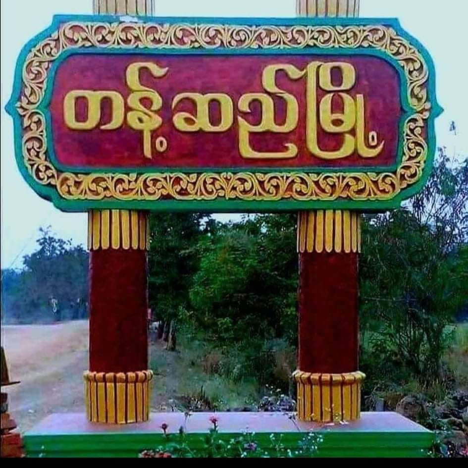 တန့်ဆည်မြို့တွင် ကွမ်းဒိုင်မှ အမျိုးသမီး ၄ ဦးကို စစ်တပ်က ဖမ်းဆီး