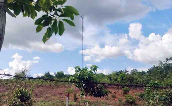 သိမ်ဇရပ်က Mytel တာဝါတိုင် ဗုံးခွဲဖျက်ဆီးခံရ