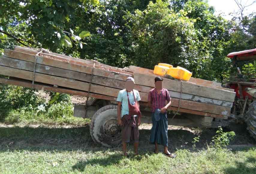 ရေဦးမြို့နယ် မဟာမြိုင်တောက သစ်ခိုးထုတ်သူများကို PDF က ဖမ်းဆီး