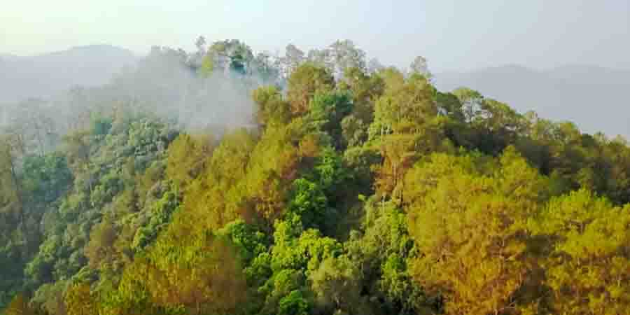ကမ္ဘာ့ရာသီဥတုပြောင်းလဲမှုဆိုင်ရာညီလာခံတွင် မြန်မာ့သစ်တောအကြောင်း မှတ်တမ်းရုပ်ရှင်ပြ (ရုပ်သံ)