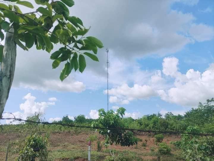 ကျိုက်ထိုမြို့နယ်တွင် Mytelတာဝါတိုင်စောင့်စစ်တပ်နှင့် ဒေသခံ PDF တို့ တိုက်ပွဲဖြစ်