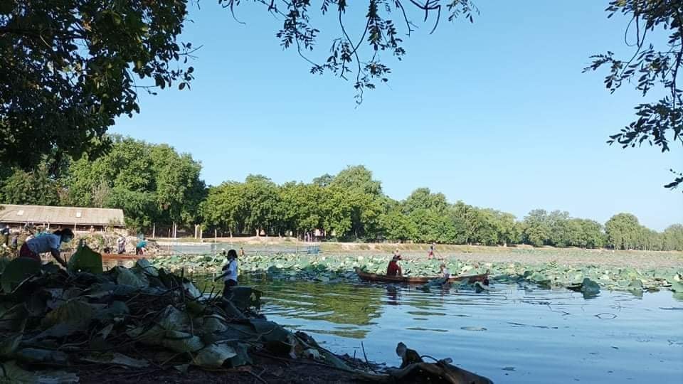 အိမ်ခြေ ၆၀၀၀ ကျော် သောက်သုံးရေ အားထားနေရသည့်   ရွှေဘိုမဟာနန္ဒာကန်တော် ရေထုညစ်ညမ်းနေ