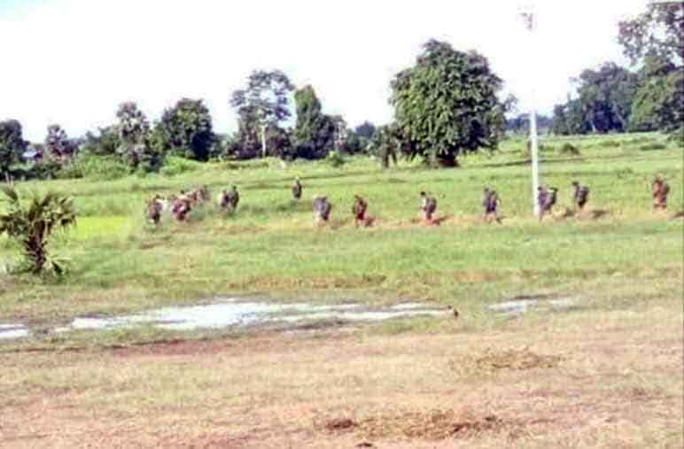 တန့်ဆည်တွင် စစ်တပ်ကစစ်ကြောင်းထိုးနေ၍ စပါးရိတ်သိမ်းခွင့်မရမည်ကို လယ်သမားများစိုးရိမ်