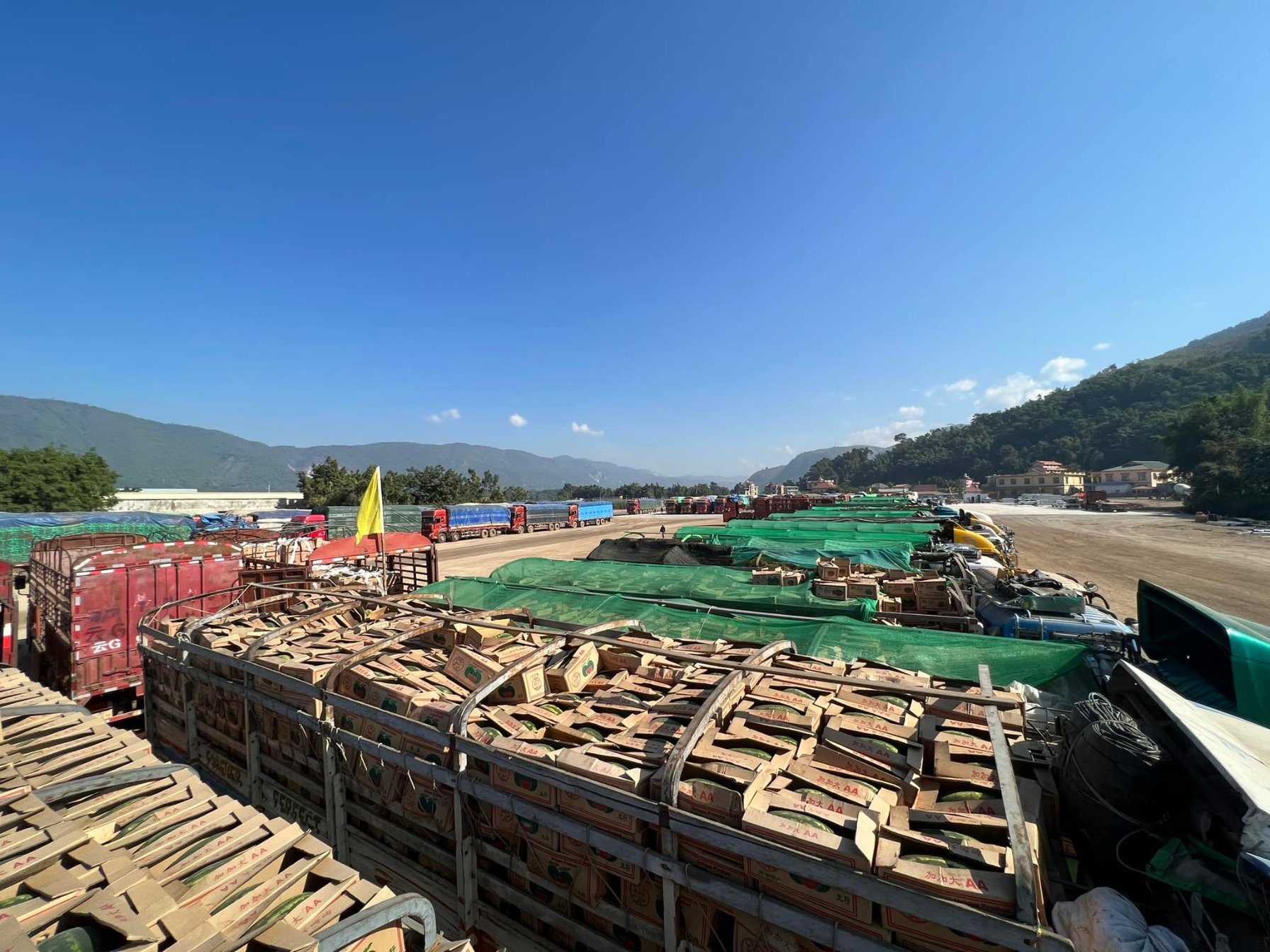 တရုတ်နယ်စပ်ပြန်ဖွင့်သော်လည်း လုပ်ငန်းစဉ်အဆင့်များလွန်းသဖြင့် ဖရဲသီးကုန်သည်များ အခက်ကြုံ