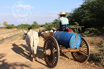 ပုဂံၿမိဳ႕ ေတာရြာေက်းရြာ ေရရွားပါးမႈႏွင့္ ႀကံဳေတြ႔ေနရ (ဓာတ္ပုံ)