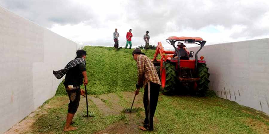 တရုတ်နိုင်ငံသို့ မြန်မာပြည်မှ ပြောင်းချဉ်ဖတ် စမ်းသပ်တင်ပို့မည်